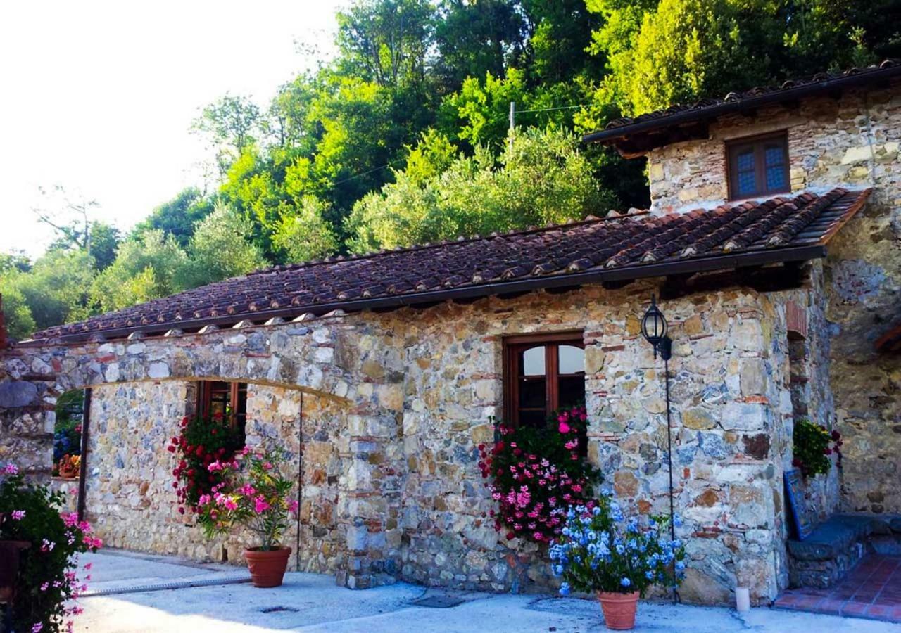 Villa Armonia Borgo a Mozzano Exterior photo