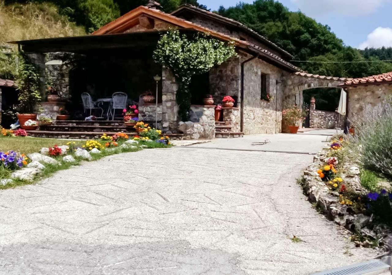 Villa Armonia Borgo a Mozzano Exterior photo